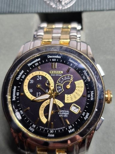 Vintage Citizen Eco-Drive Perpetual E870